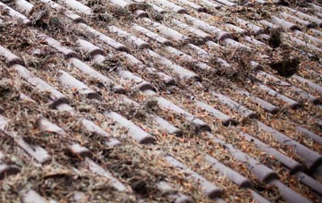 Burleston roof cleaning companies