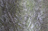 Burleston fibreglass roof work