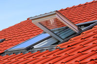 Burleston roof window